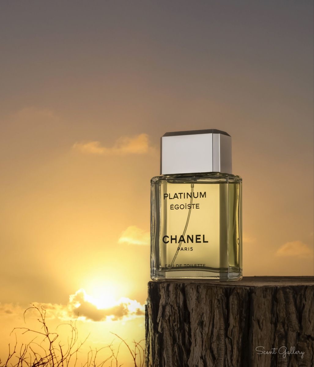 🩶 Chanel Platinum Égoïste | شنل پلاتینیوم اگویست(١٠ميل)