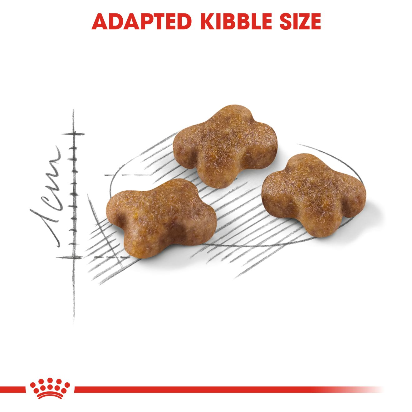غذای خشک بچه گربه رویال کنین کیتن Royal canin kitten  در بسته‌بندی پت‌کالا